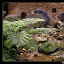 phoca_thumb_l_cv_porm_lr